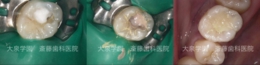 8F8892u.jpg